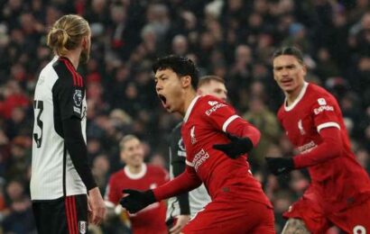 EPL PIX: Liverpool snatches thrilling win over Fulham